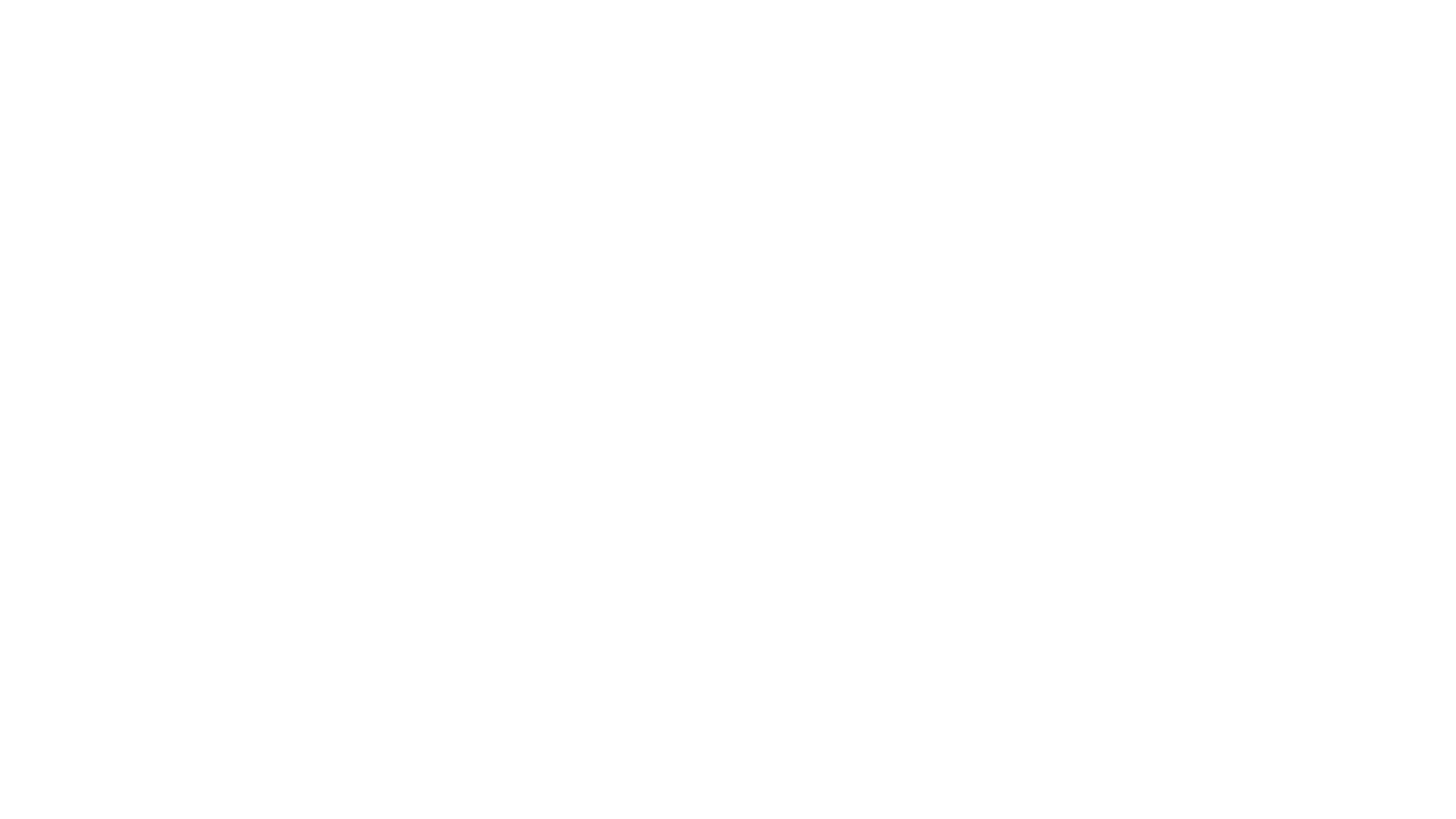PRIMAVEIL Logo